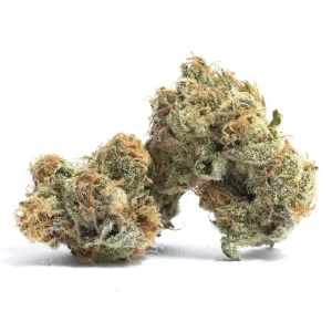 Buy Cheese Marijuana Strain
