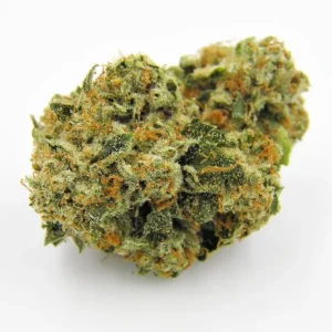 Buy Kosher Kush Marijuana Strain