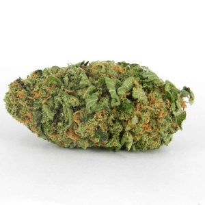 Buy Northern Lights Weed Strain
