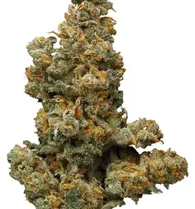 Buy Somango Weed Flower