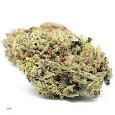Zed Marijuana Strain