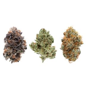 Cannabis Strains Online Europe