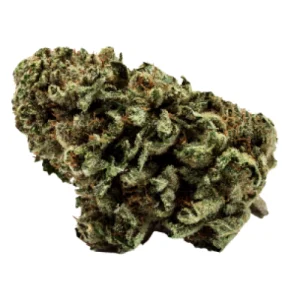 City Slicker Cannabis Strain