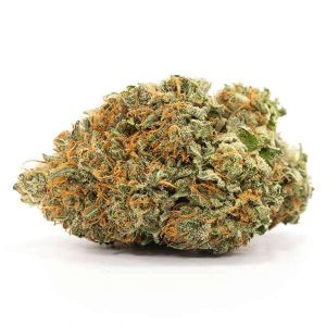 Comatose Marijuana Strain