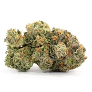 Critical Kush Weed Strain