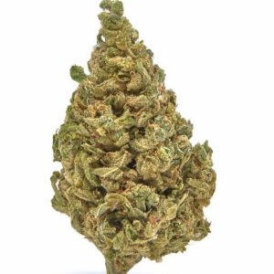 Fortified White Whale CBG Delta 8 Hemp Flower