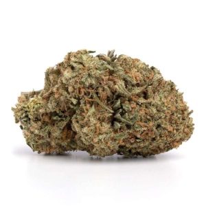 Konservative Kush Strain