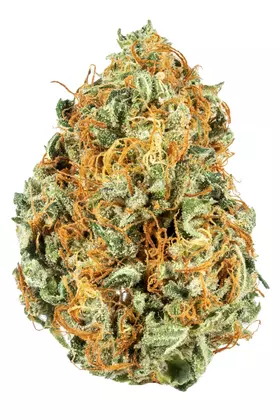LaLa Land Cannabis Flower