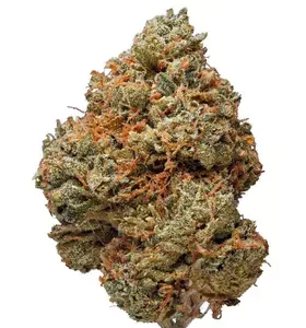 Night Terror OG Cannabis Flower