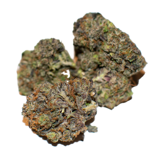 Night Terror OG Marijuana Strain