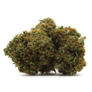 White Fire 43 Marijuana Strain