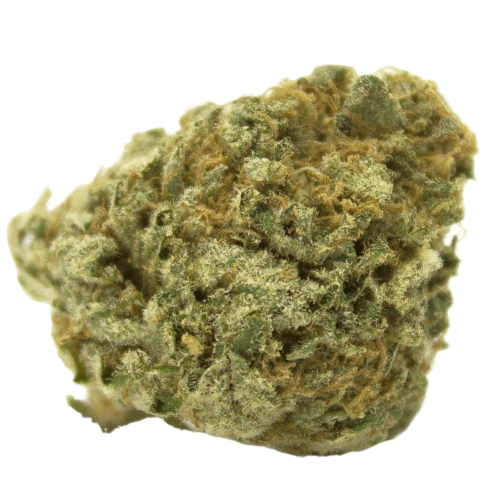 Berner’s Snowman Marijuana Strain
