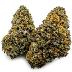 Blueberry Cheesecake Weed Strain