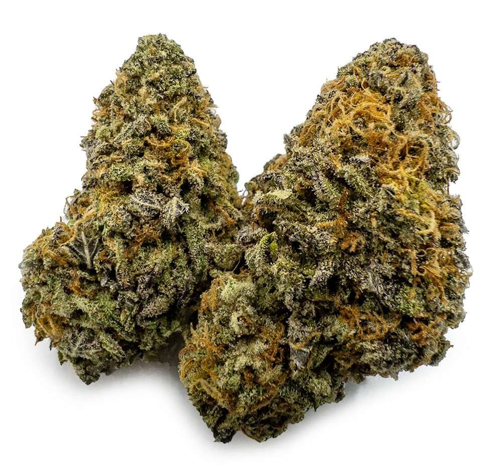 Blueberry Cheesecake Weed Strain