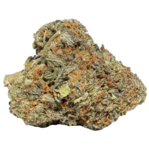 Bruce Banner #3 Sativa Strain