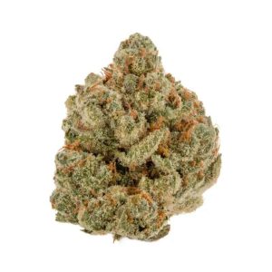 Cheetah Piss Weed Strain