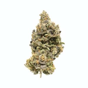Cookie Glue Marijuana Strain