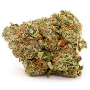 Cookie OG Weed Strain