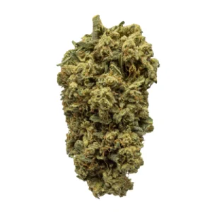 Dragon Lady Marijuana Strain