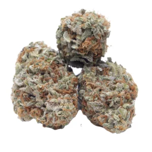 Ghost Train Haze Strain