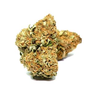 Golden Goat Marijuana Strain