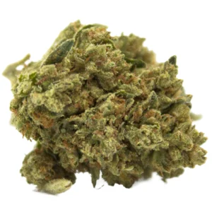 Jesus OG Marijuana Strain