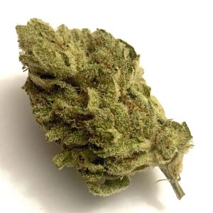 Jungle Cake Marijuana Strain