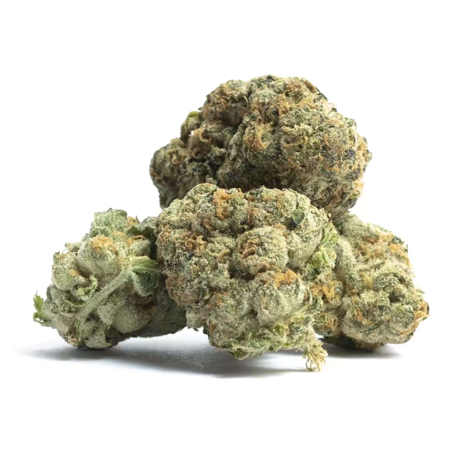 Kush Mint Weed Strain