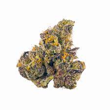 Orange Sherbet Marijuana Strain