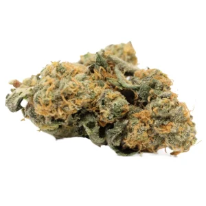 Phantom Cookies Weed Strain