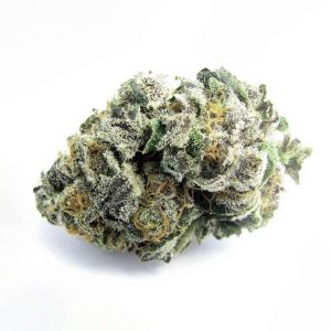 Platinum Girl Scout Cookies Marijuana Strain