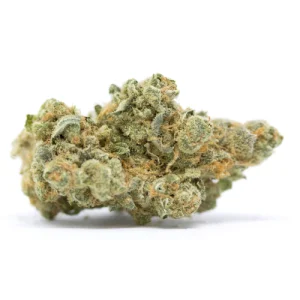 Quantum Kush Marijuana Strain
