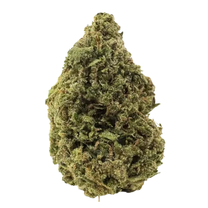 Sativa Cannabis Strains for sale EU