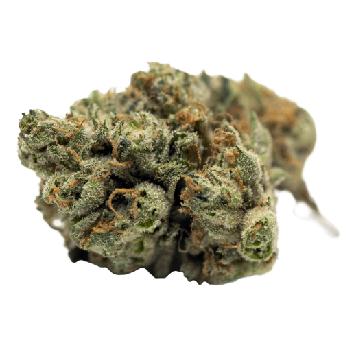 Sour Banana Marijuana Strain