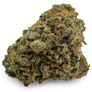 Trainwreck Weed Strain