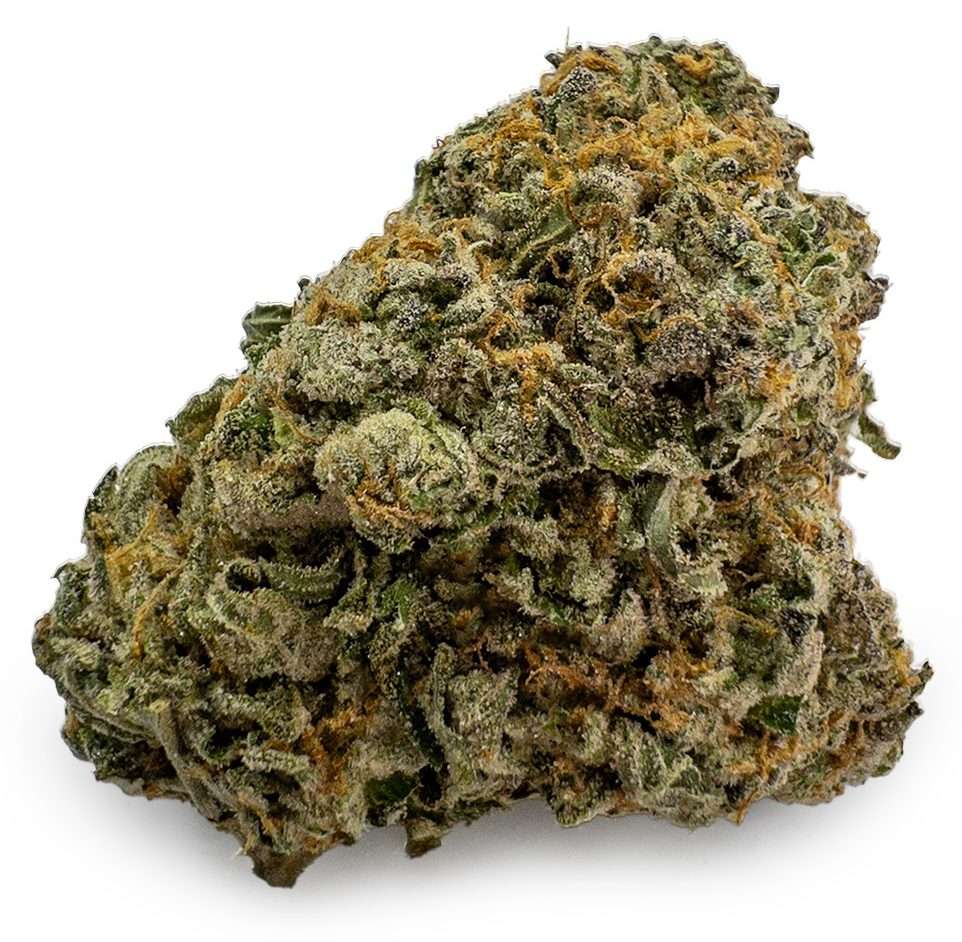 Trainwreck Weed Strain