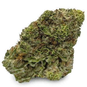 Tropicana Cookies Cannabis Flower