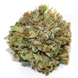 Tutankhamon Weed Strain